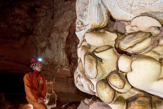 From the caves of Venezuela to the rocks of Mars: a new method to study extreme environments