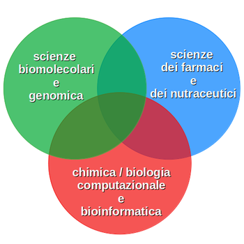 ambiti strategici di ricerca