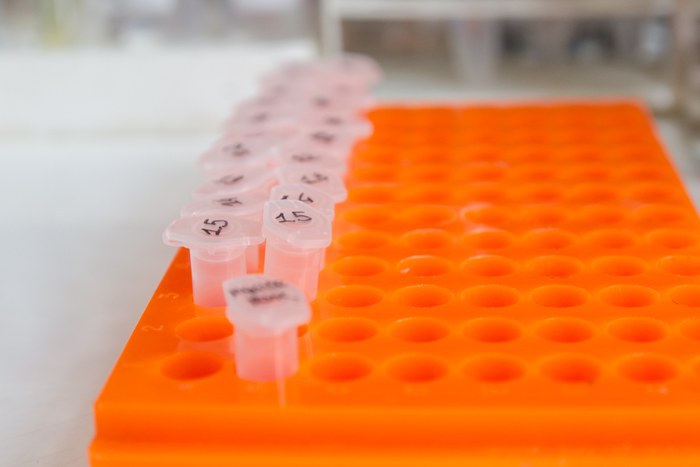 Laboratorio didattico