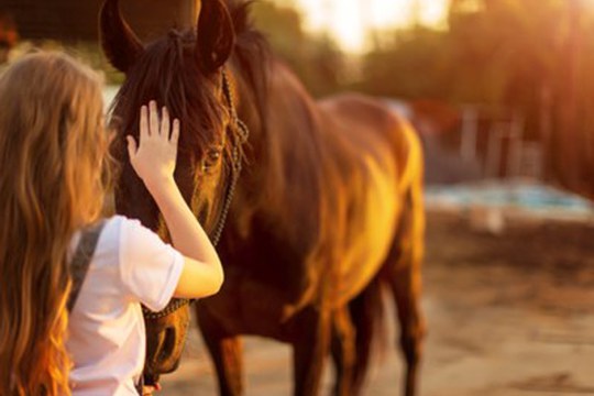 L’interazione con gli animali migliora la salute del microbioma dei bambini