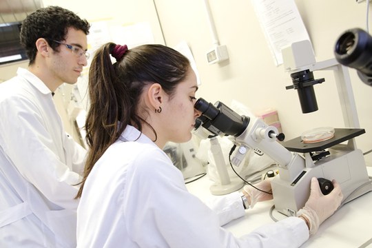 Nel DNA si nasconde una nuova arma contro tumori e malattie neurologiche Nel DNA si nasconde una nuova arma contro tumori e malattie neurologiche