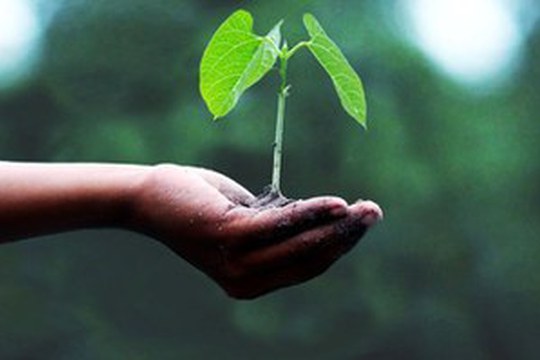 Packaging edibile ed ecosostenibile: un progetto innovativo che unisce giovani, formazione e ricerca Packaging edibile ed ecosostenibile: un progetto innovativo che unisce giovani, formazione e ricerca