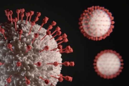 Un nuovo protocollo per produrre la proteina-bersaglio del coronavirus: verso nuovi farmaci contro il COVID-19