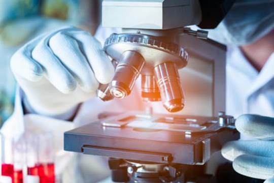 Una proteina che cambia volto può aiutarci a combattere un raro tumore infantile