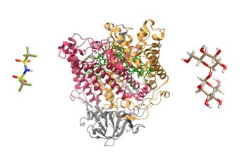 Figura 1. Da sinistra verso destra: struttura di un liquido ionico, rappresentazione a nastro del centro di reazione fotosintetico dei batteri purpurei non sulfurei, struttura del trealosio.